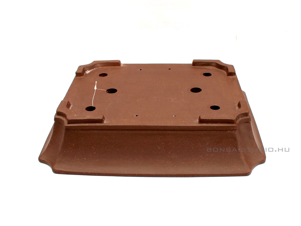 mazatlan bonsai talak a marczika bonsai studio webaruhaz keszletebol